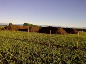 ECOFERTIL Fertilizzanti Organici Biologici - ECOFERTIL  IL BIO-COMPOST